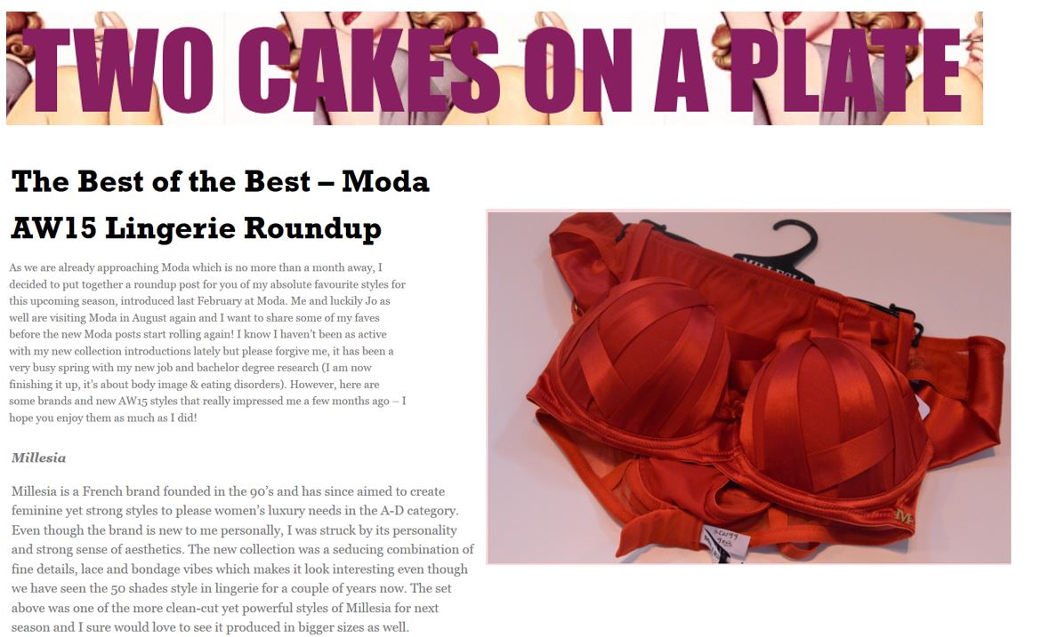 Millesia - two cakes on a plate blog